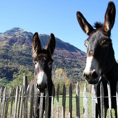 Отель Roulottes Montagne Pyrenees Люс-Сен-Совёр Экстерьер фото