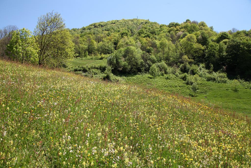 Отель Roulottes Montagne Pyrenees Люс-Сен-Совёр Экстерьер фото