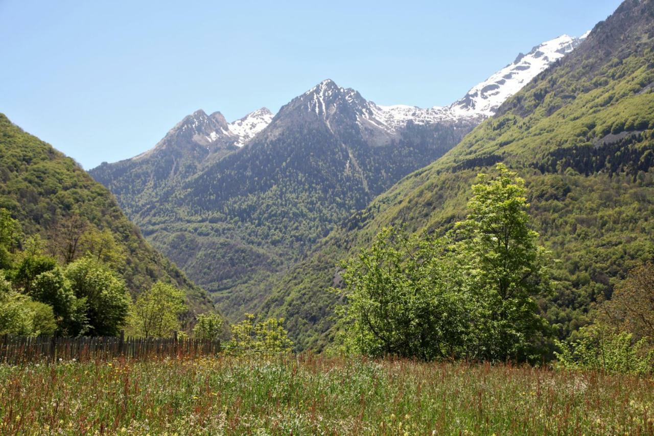 Отель Roulottes Montagne Pyrenees Люс-Сен-Совёр Экстерьер фото